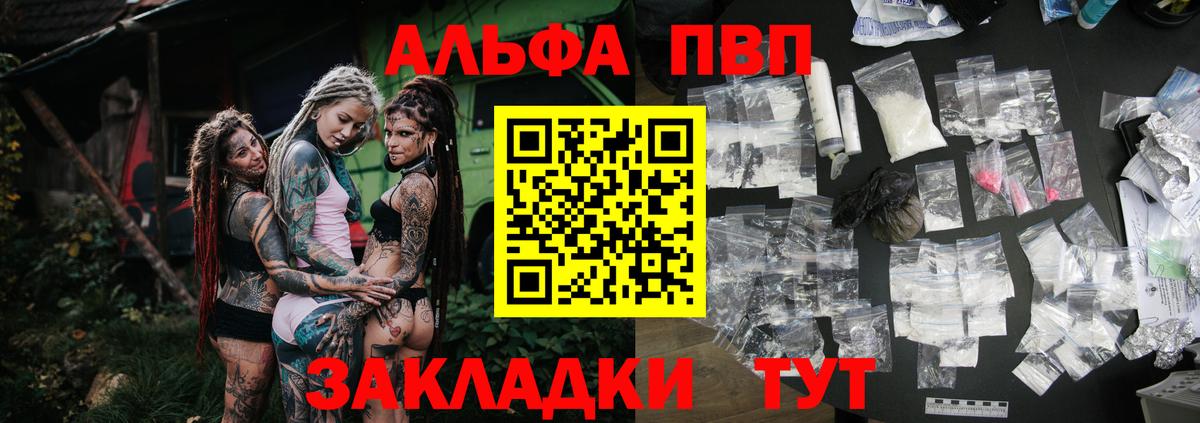 дарнет шоп  А ПВП СК  Вход с VPN  APVP СК КРИС  Новодвинск 