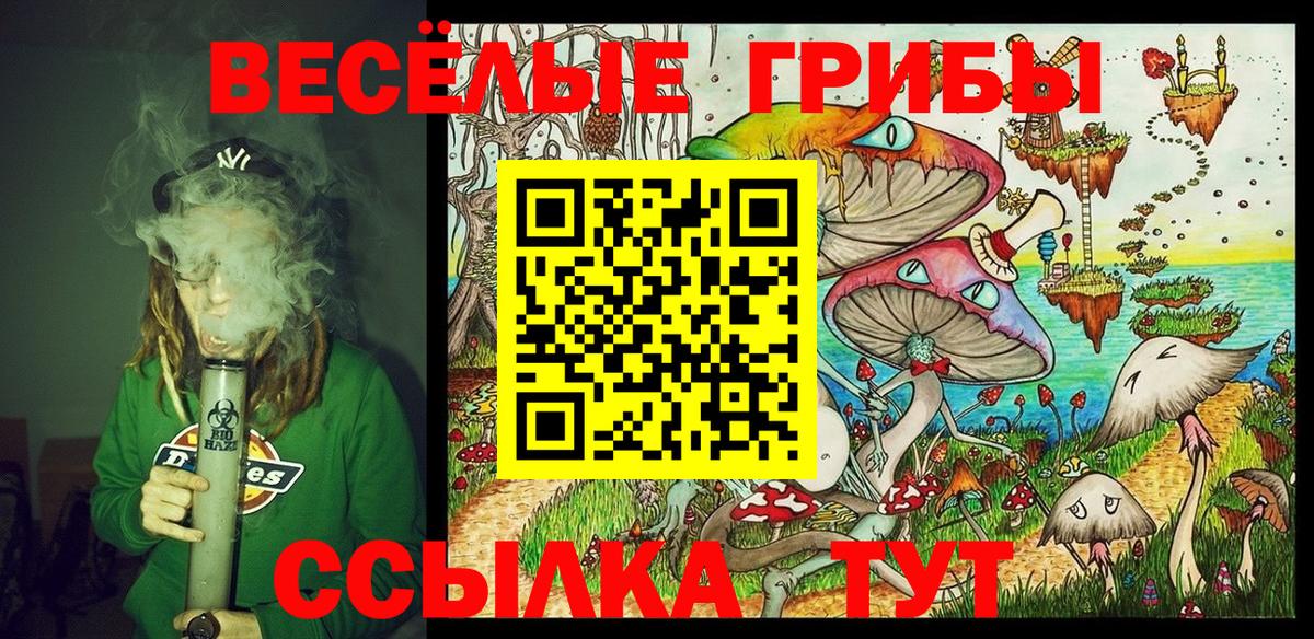 Галлюциногенные грибы прущие грибы Новодвинск
