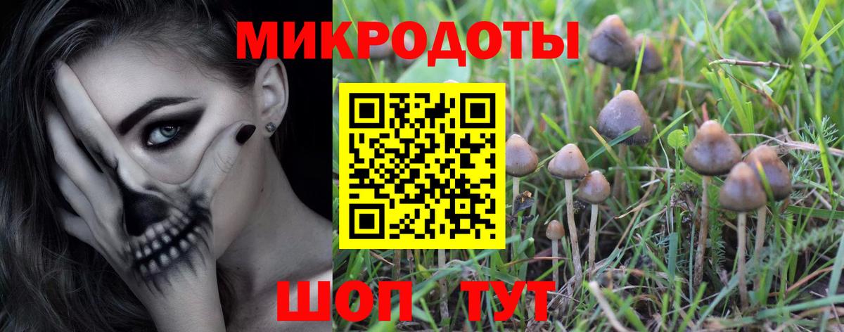 Псилоцибиновые грибы Psilocybe  Вход с VPN  Новодвинск 